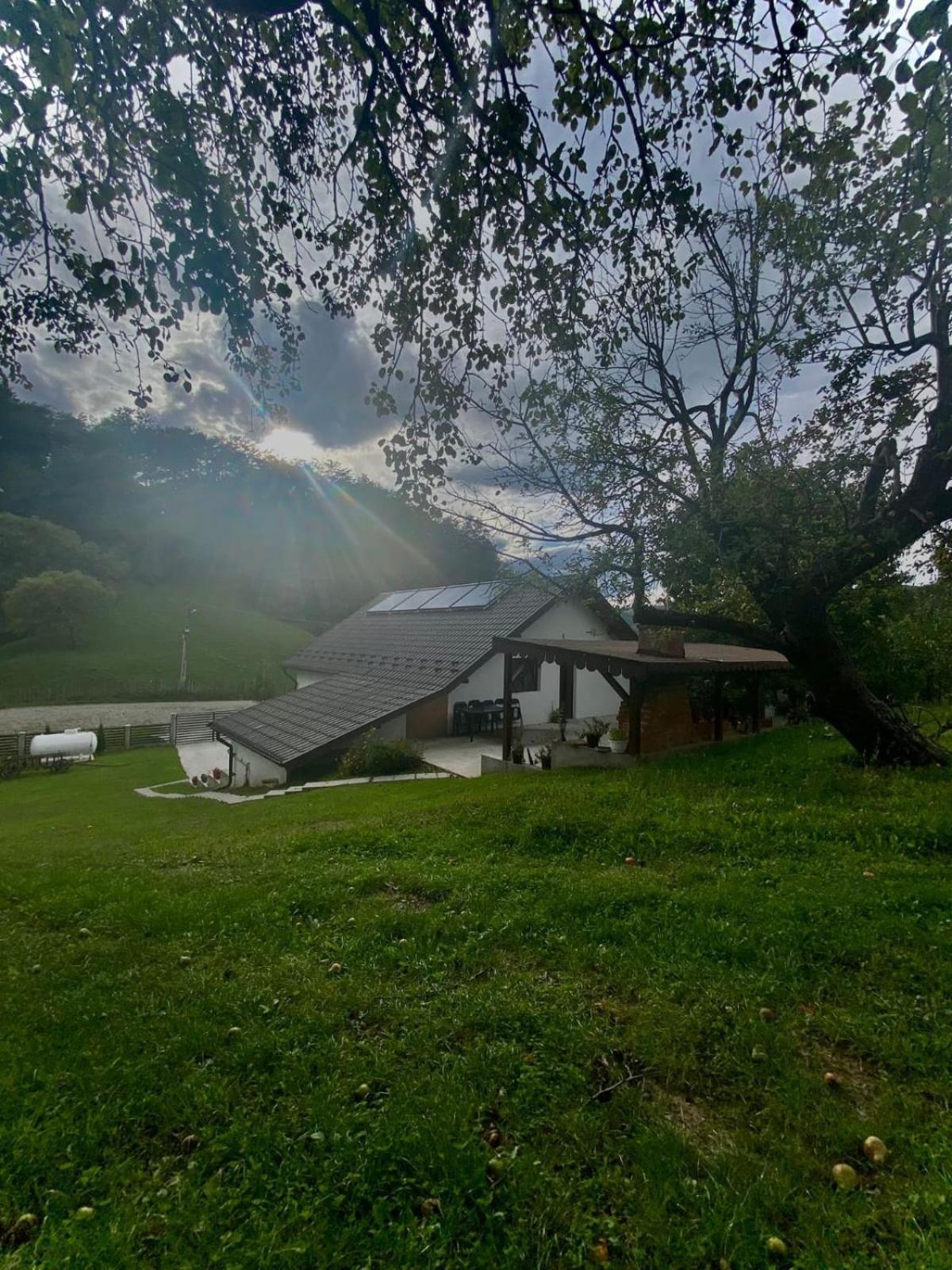 Casa Alex Otel Curtea de Argeş Dış mekan fotoğraf